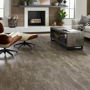 Paramount Plus Jade Oak flooring in a Family Room